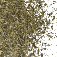 HERBATA ZIELONA  |  JAPAN SENCHA