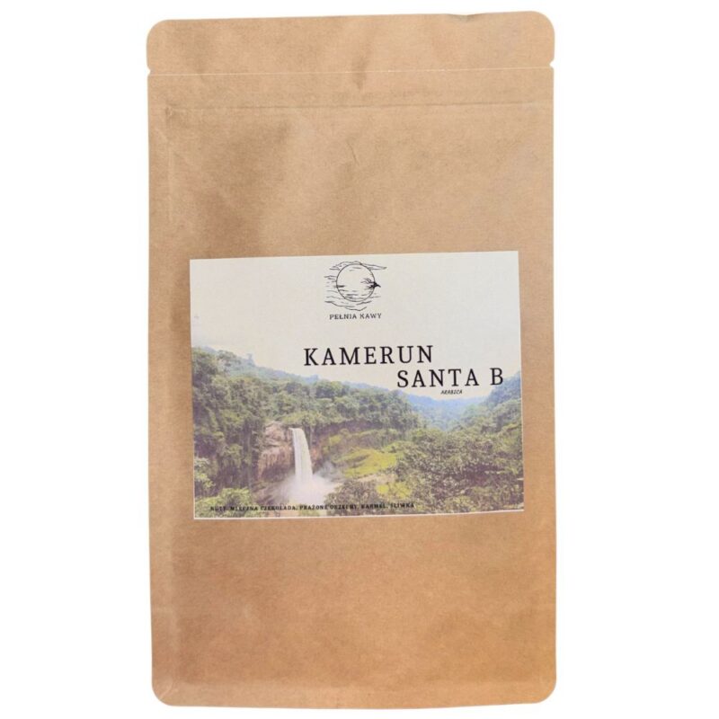 KAMERUN SANTA B  | ARABICA